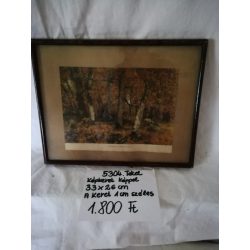 KÉPKERET PAPÍR KÉPPEL1